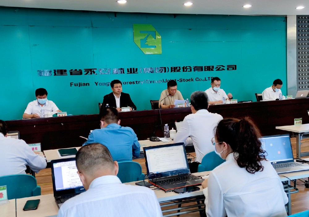 朱成庆主持召开永安林业董事会