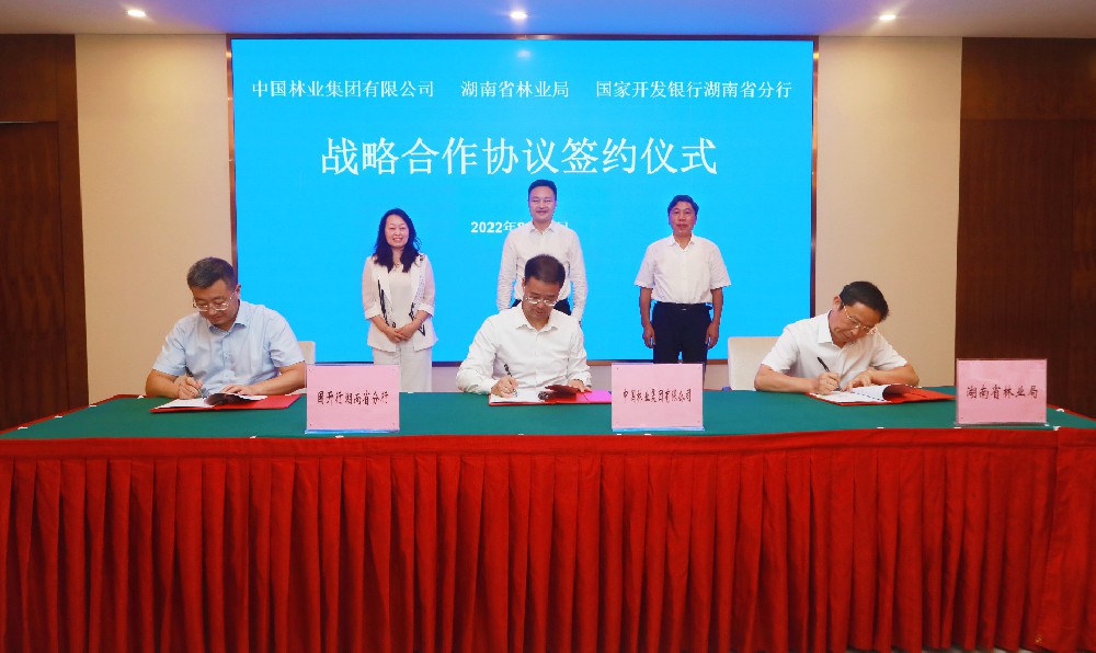 中林集团与湖南省林业局、国开行湖南省分行签署战略合作协议