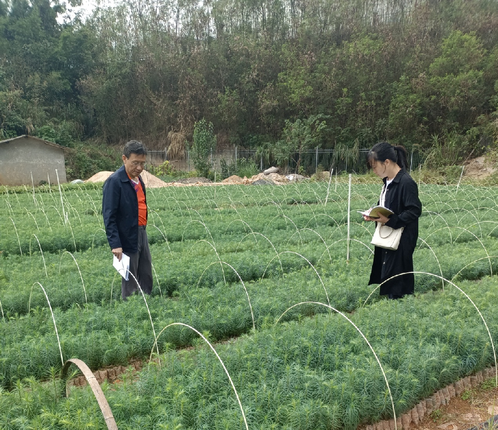 种苗中心顺利通过中央、省级财政林木良 种补贴项目验收