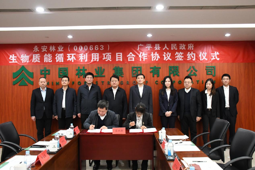 永安林业与广平县人民政府签署战略合作协议
