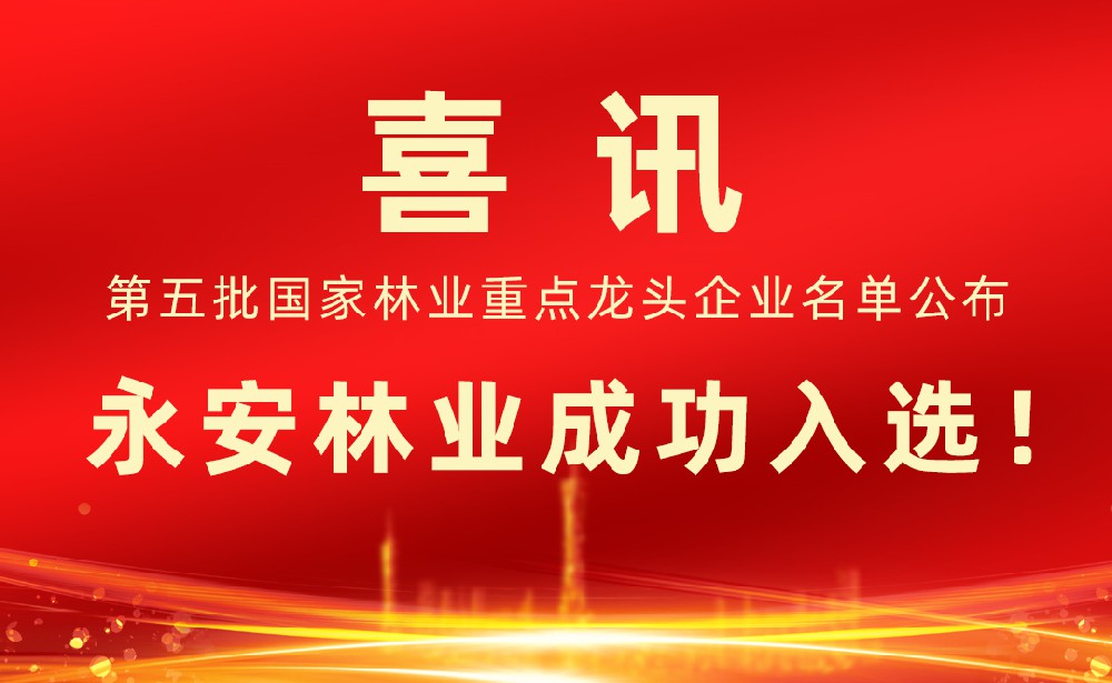 第五批国家林业重点龙头企业名单发布！永安林业成功入选！