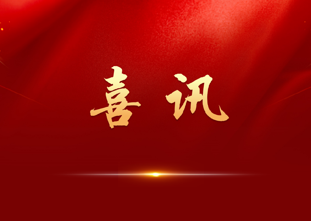 喜报！永安林业入选首批林产工业行业双碳战略试点示范企业名单