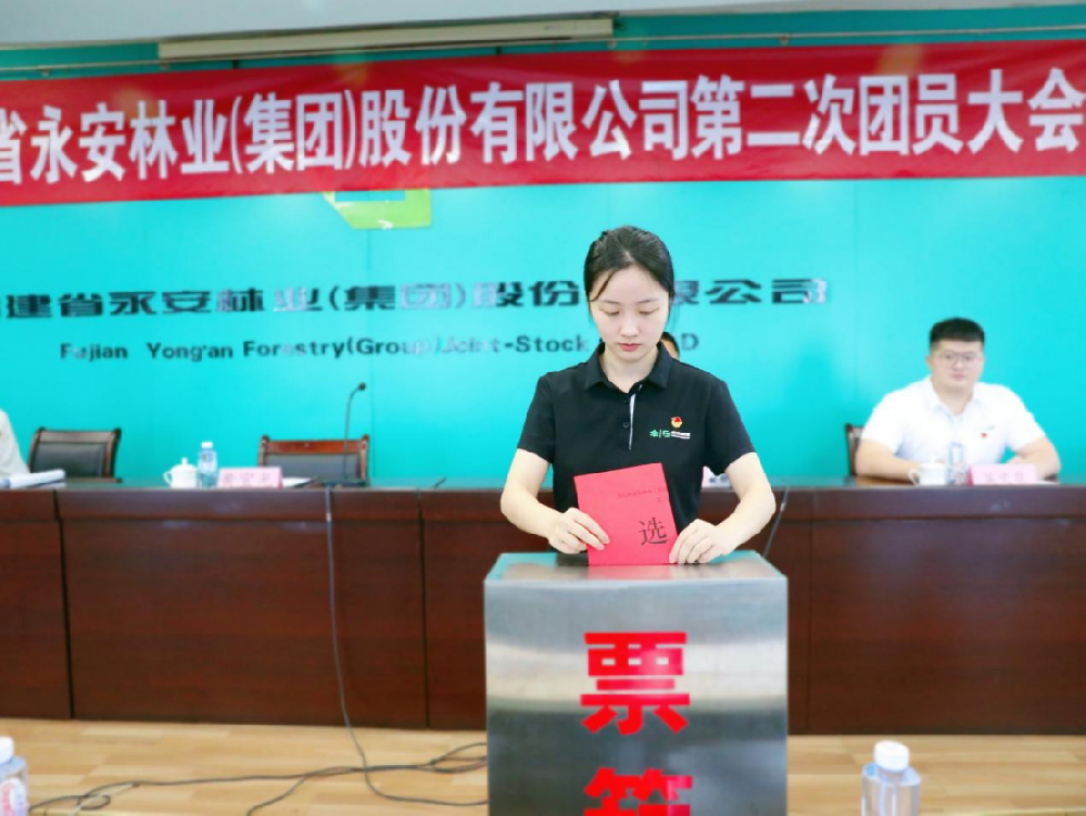 永安林业召开第二次团员大会选举产生新一届团委