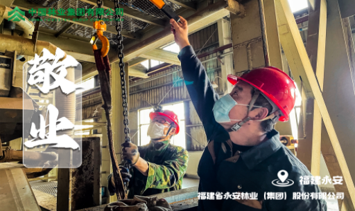 永安林业“爱岗敬业”图荣登国务院国资委官方网站宣传栏目