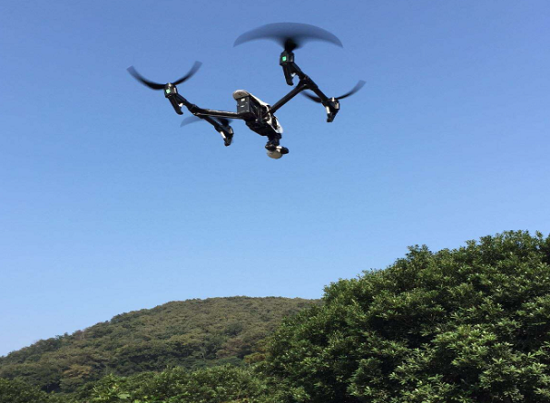 好家伙，林还能这么“管”：中林集团科技赋能智慧林业监管