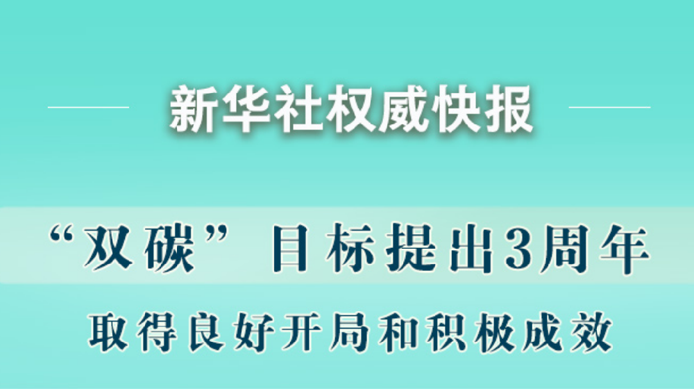 “双碳”目标提出3周年取得积极成效