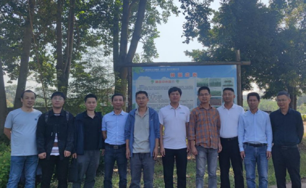 福建省“闽楠良种选育与繁殖关键技术研究”攻关项目推进会在永安林业种苗中心召开