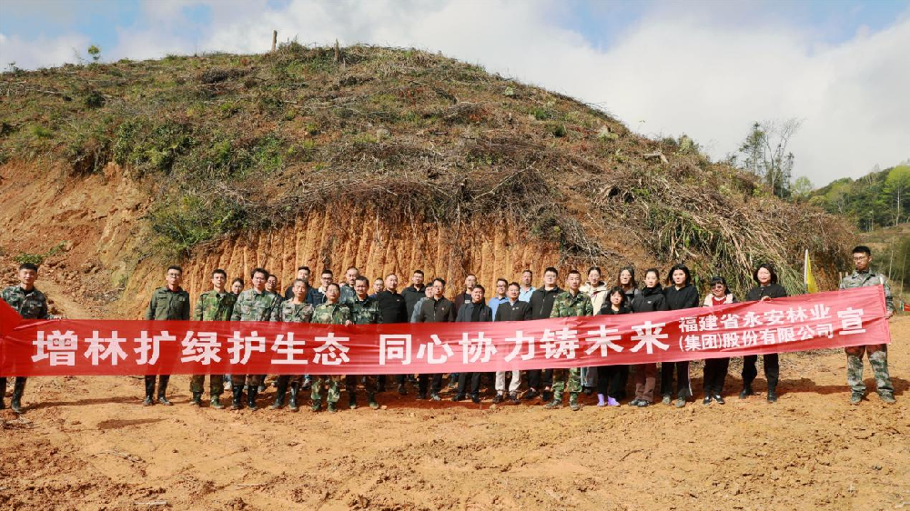 植此绿美 共树未来 | 永安林业开展2024年义务植树活动