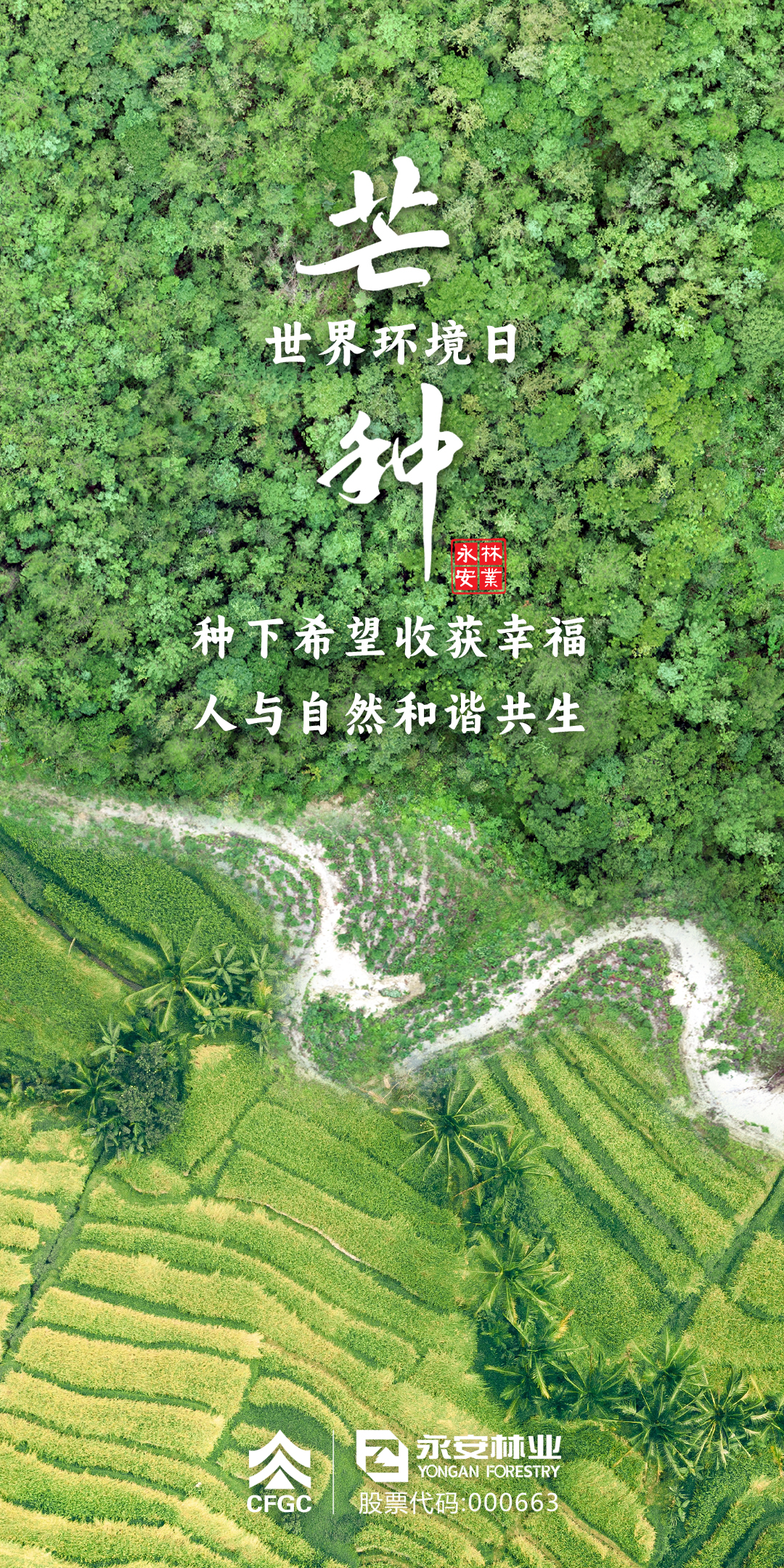 芒种、世界环境日海报.jpg
