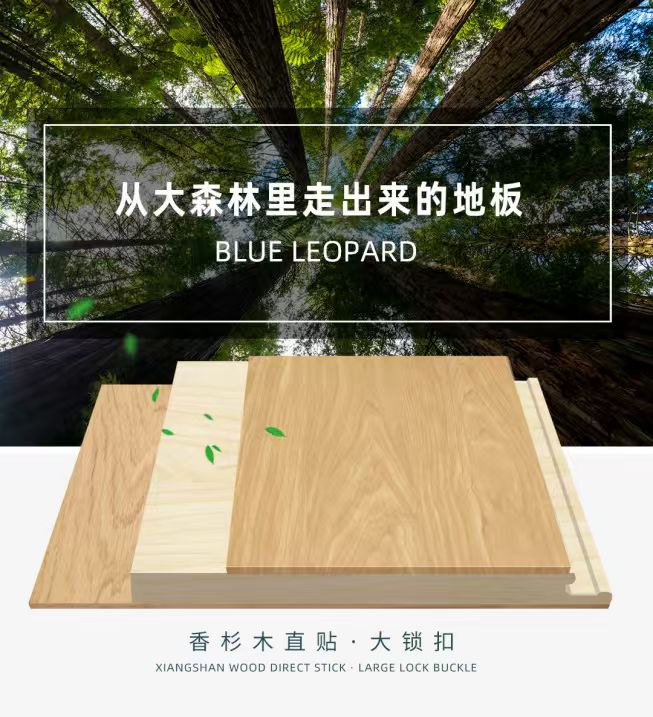 微信图片_20250823201657_137_9.jpg