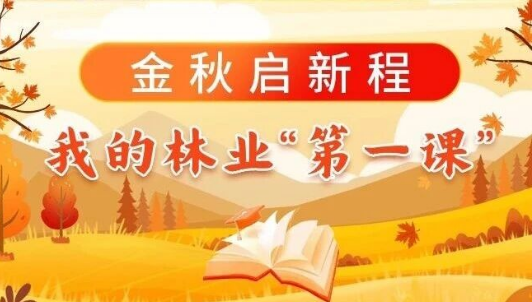 金秋启新程，我的林业“第一课”（二）