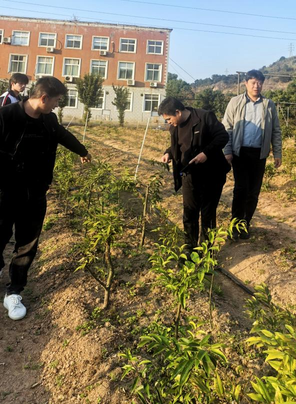 【子企业动态】省林科院李宝福教授莅临种苗中心指导