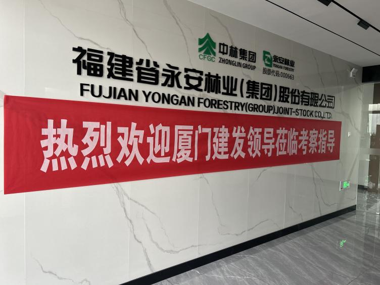 厦门建发集团到永安林业开展专项调研