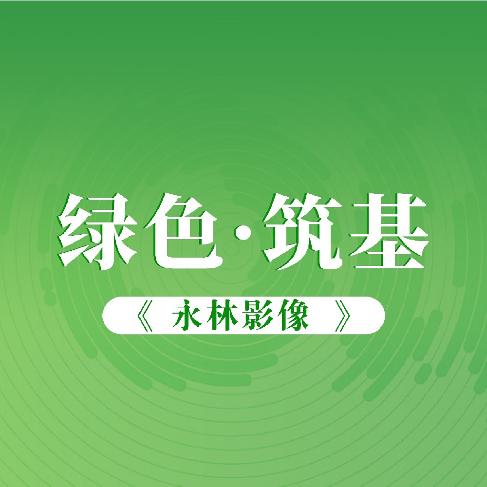 “70·30”系列报道——永林影像｜林海翠影，光映青山