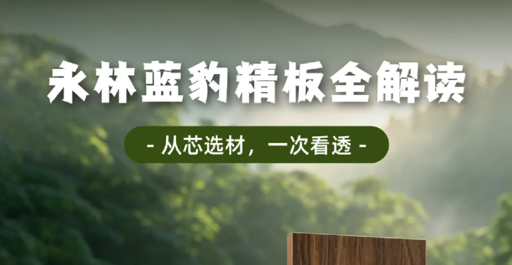 永林蓝豹精板全品类解读，从选材到结构一次讲透