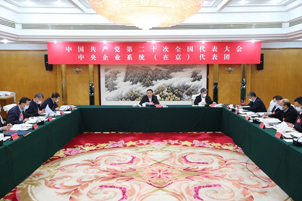 中央企业系统（在京）代表团认真讨论中央纪委工作报告、党章修正案